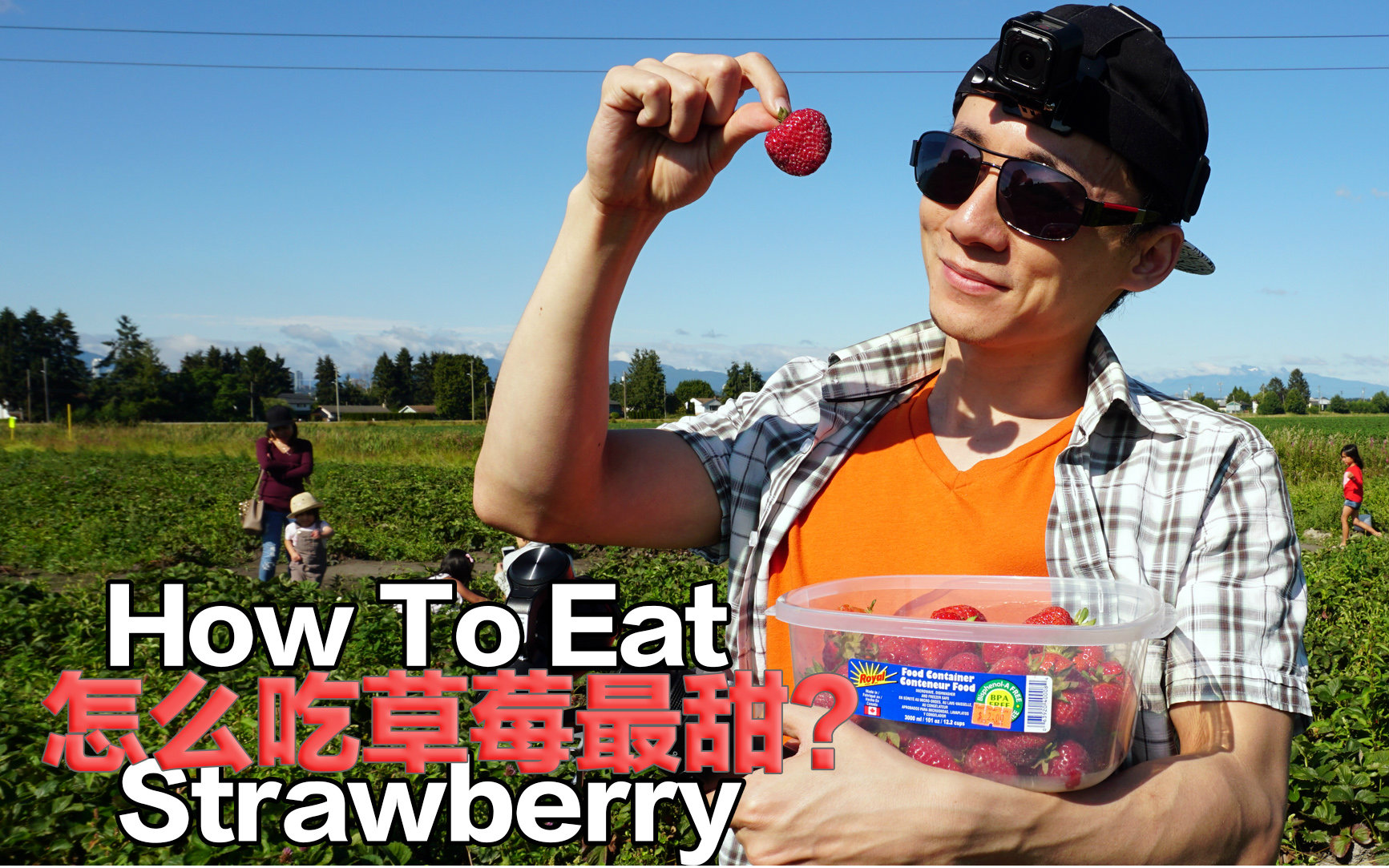 很有趣的摘草莓事件!放松必看!How to eat Strawberry after picking up哔哩哔哩bilibili