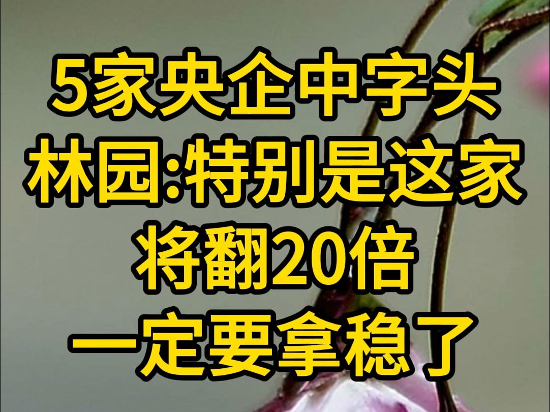 A股最良心的五家央企中字头,一定要拿稳了,潜力良好哔哩哔哩bilibili