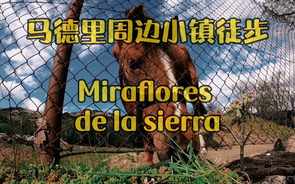 马德里小镇Mira flores de la sierra哔哩哔哩bilibili