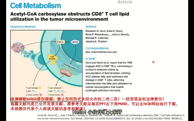 【生物外刊文献 | 仅需抑制ACC即可促进线粒体脂肪酸氧化提高CD8+T细胞功能】(上)背景部分哔哩哔哩bilibili