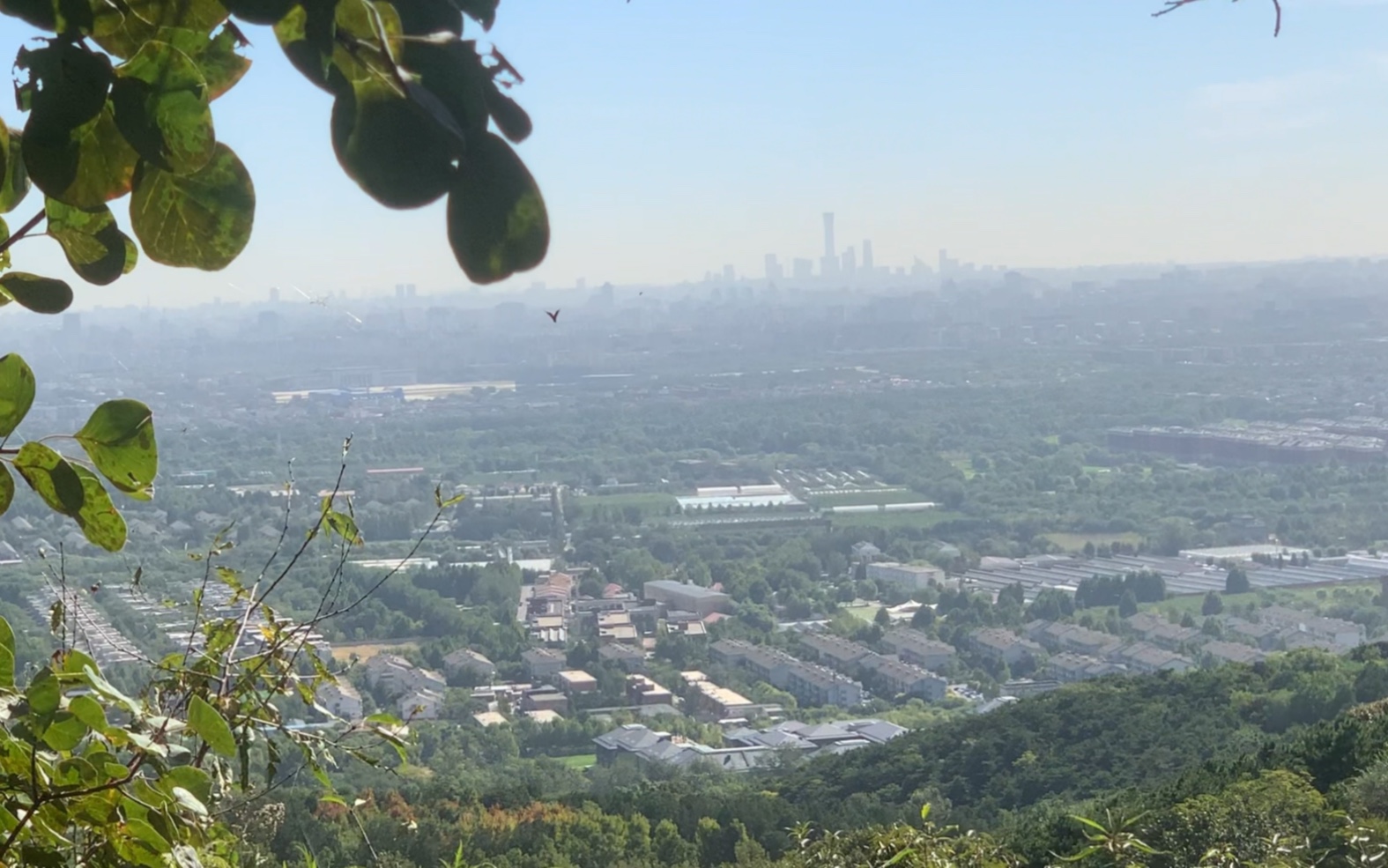 远眺京城绝佳取景地,地标清晰可见,距北京市区蕞近的森林公园哔哩哔哩bilibili