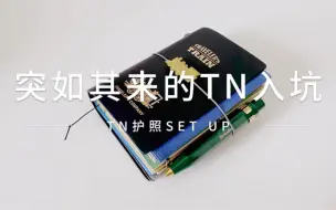 下载视频: 突如其来的TN入坑 ‖ TN护照set up