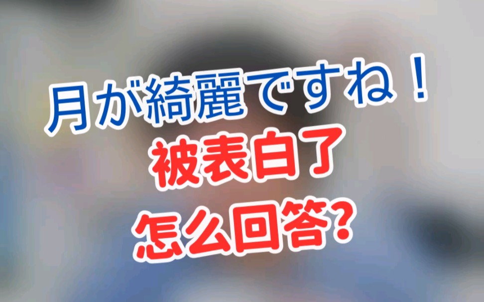 被人用日语"月色真美"表白了,该怎么回复?月圆之夜学起来!哔哩哔哩bilibili