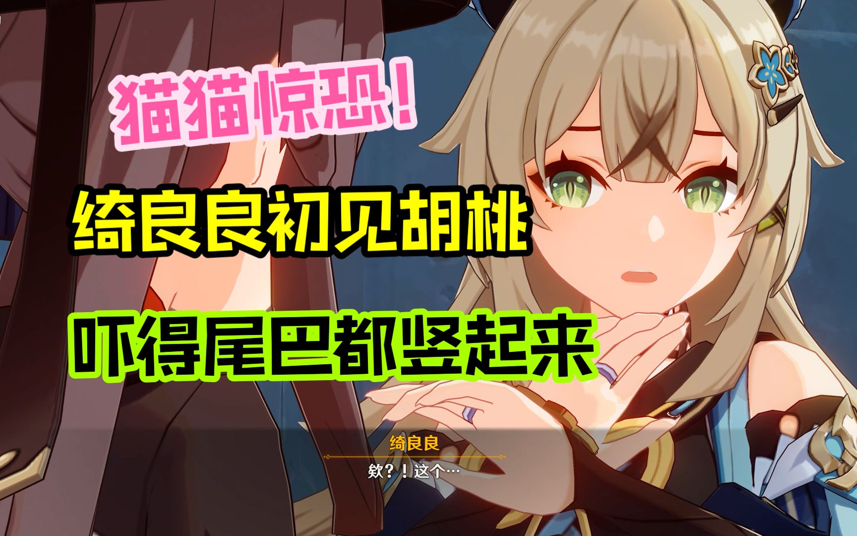 绮良良第一次见胡桃,被吓的尾巴都竖起来了!哔哩哔哩bilibili