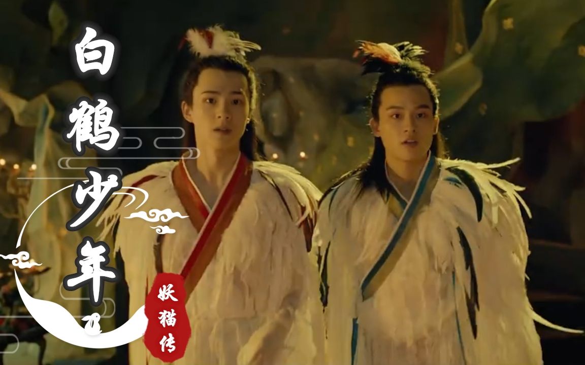 妖猫传|白鹤少年:真相是假|白龙x丹龙|cp向