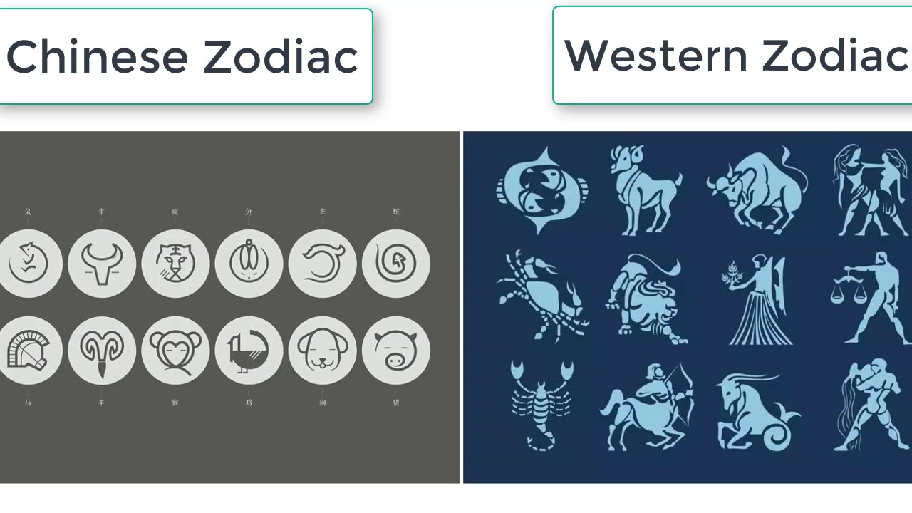 [图]Chinese Zodiac Signs 十二生肖（极简中国文化）