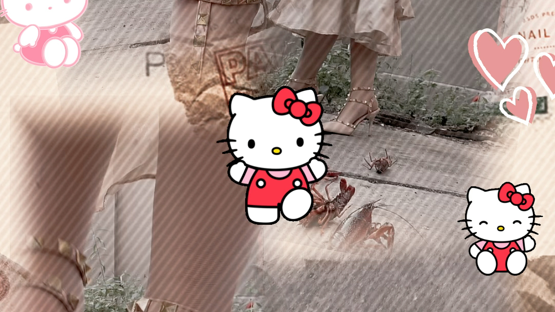 z,dog送拍高跟鞋,谁家的小龙虾出逃啦?这不,这不,赚到了嘛!