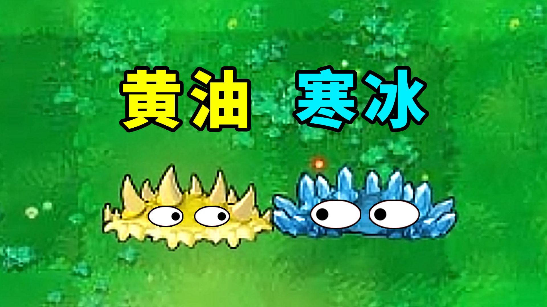 黄油地刺和寒冰地刺,你选哪一个?