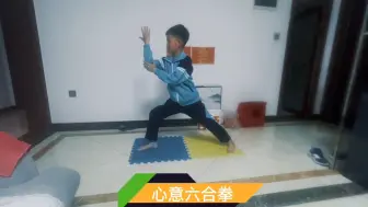 Download Video: 免费传授心意六合拳