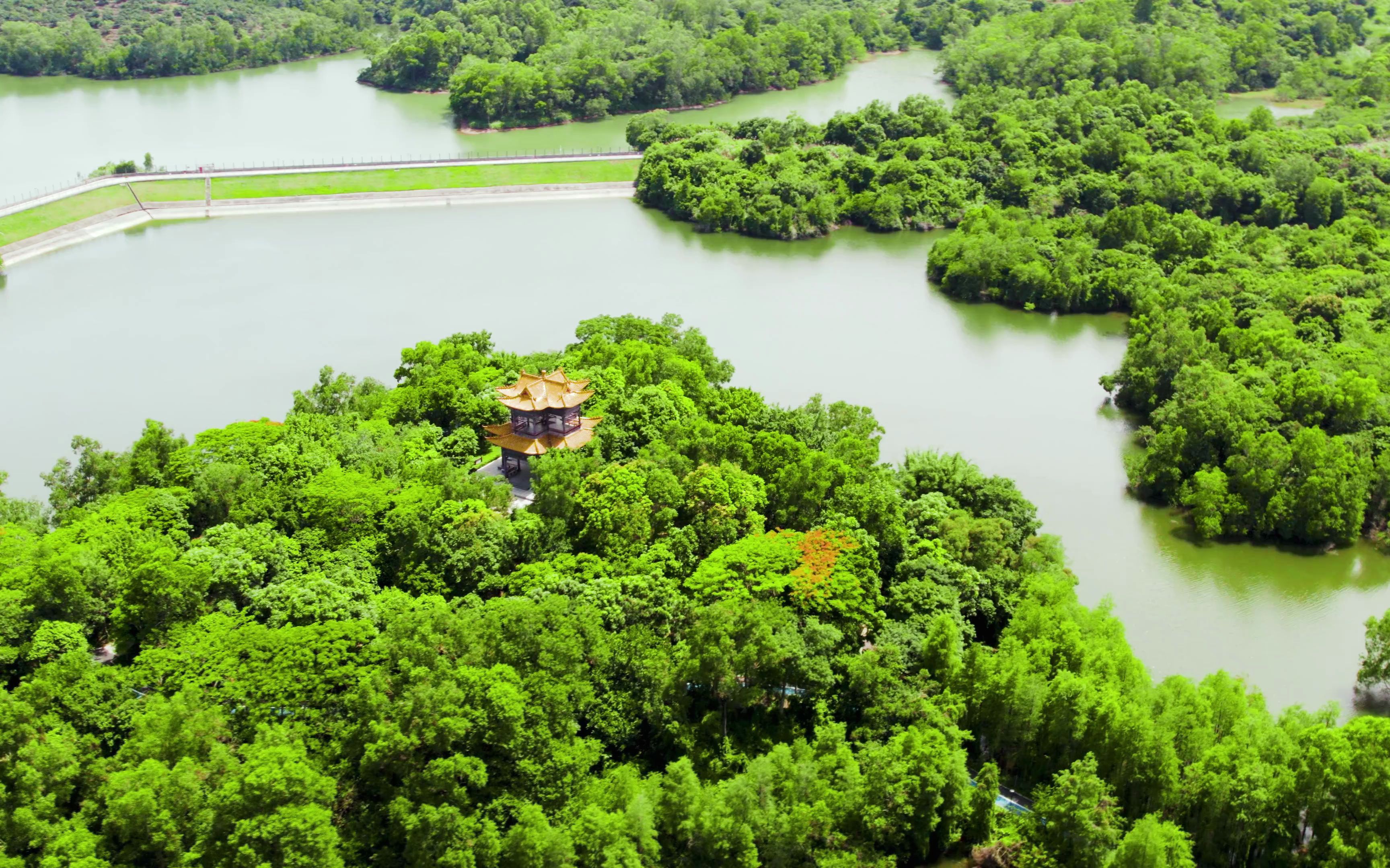 航拍 坪山体育馆 大山陂水库