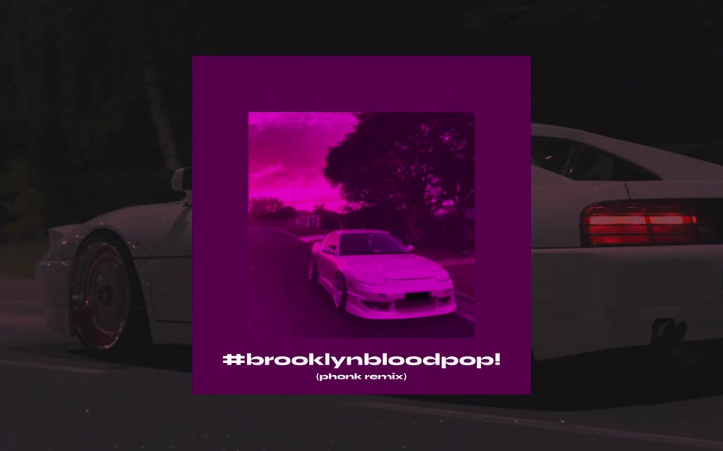 [图]PHONK音乐推荐：#brooklynbloodpop! ( phonk remix )