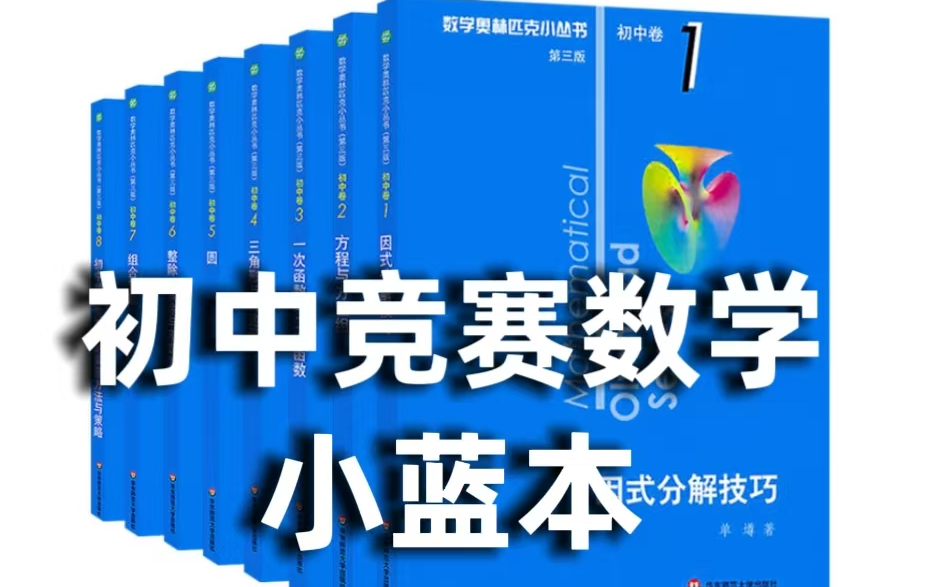 全73集【初中小蓝本】奥林匹克小丛书名师精讲课因式分解/方程与方程组