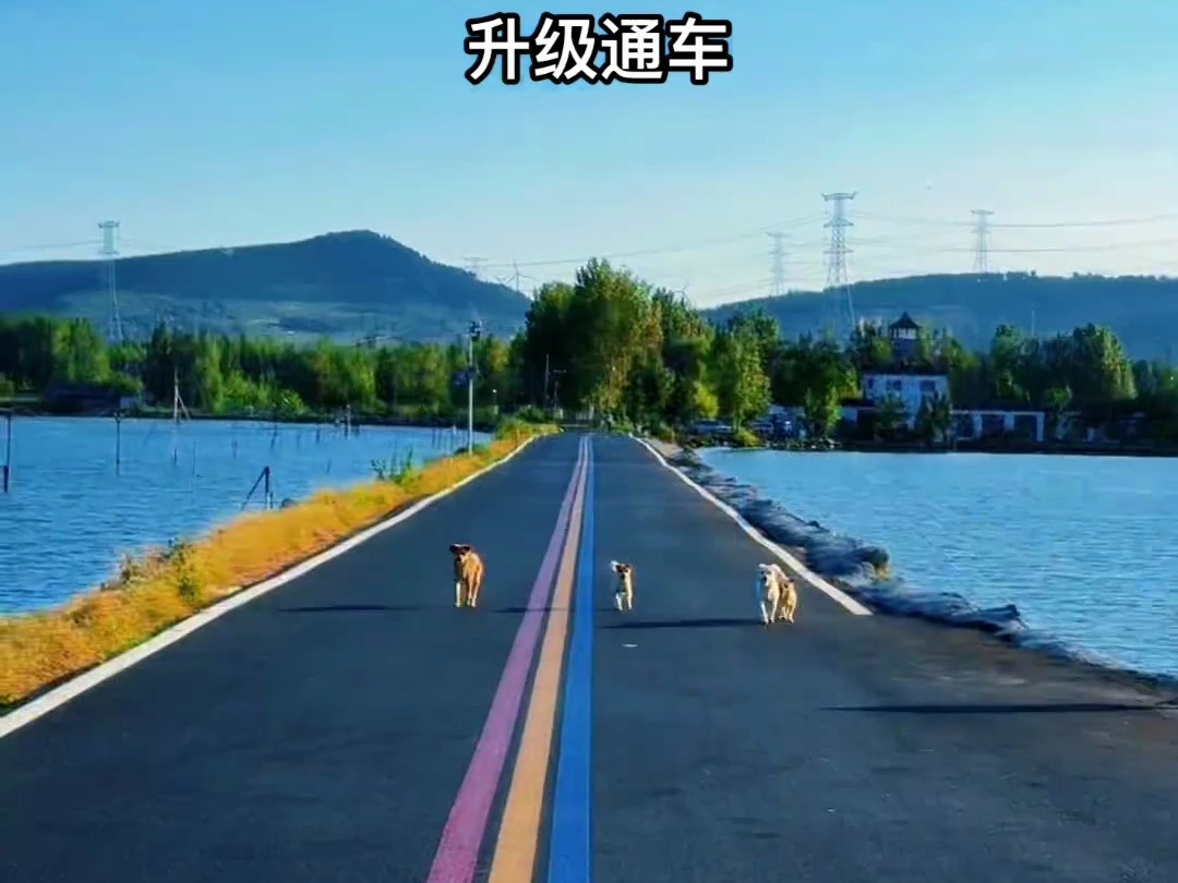 独山岛的海上公路,已经完成了升级改造~哔哩哔哩bilibili