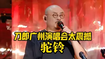 Download Video: 刀郎广州演唱会哽咽哭泣，引现场粉丝万人大合唱《驼铃》