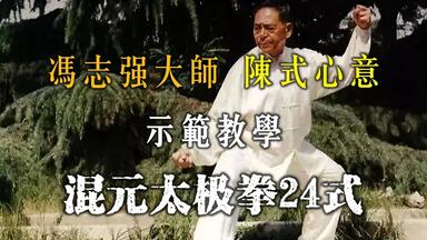传武太极】冯志强心意混元内功（全集）_哔哩哔哩_bilibili