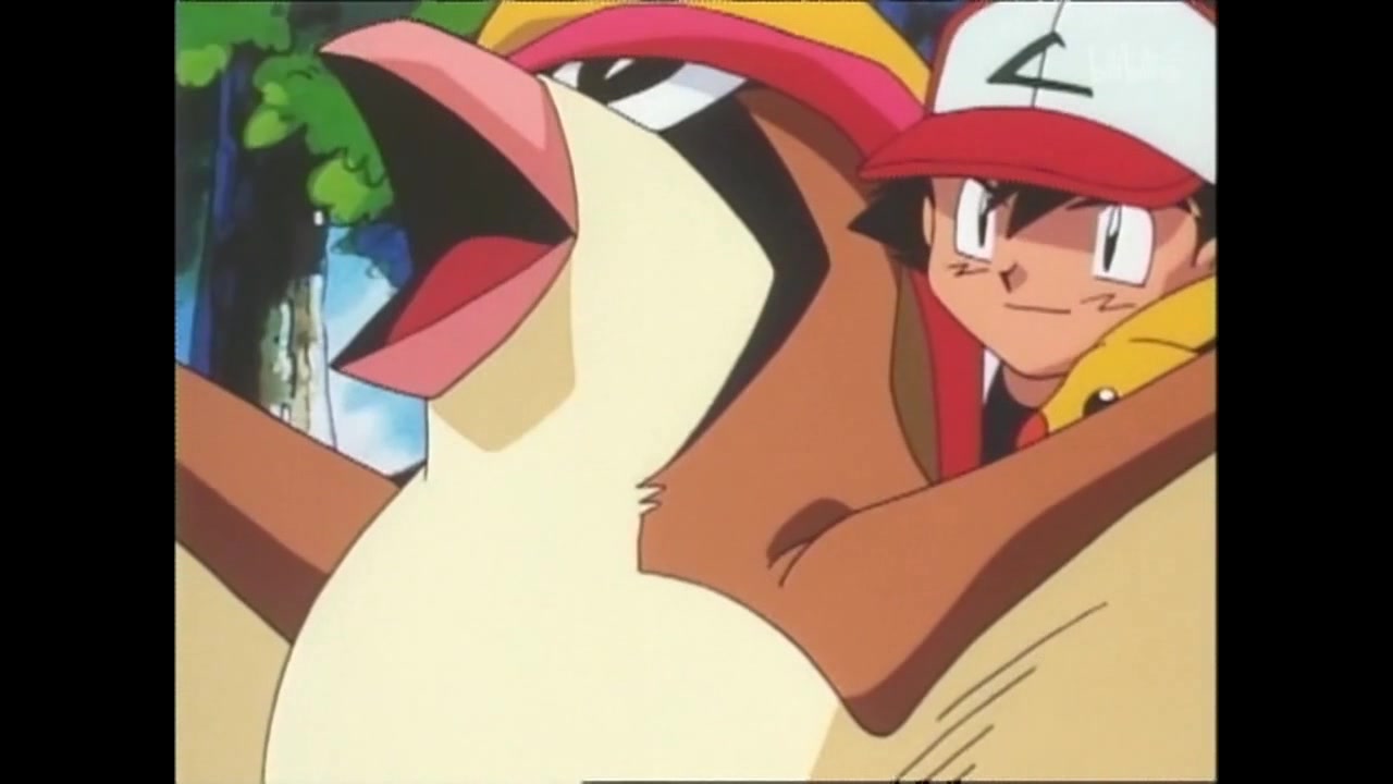 催泪向与神奇宝贝分别合集之再见了比雕