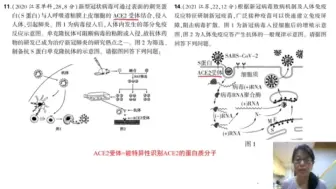 Video herunterladen: 高考题里的那些小bug(2021江苏，22)，ACE2=ACE2受体？