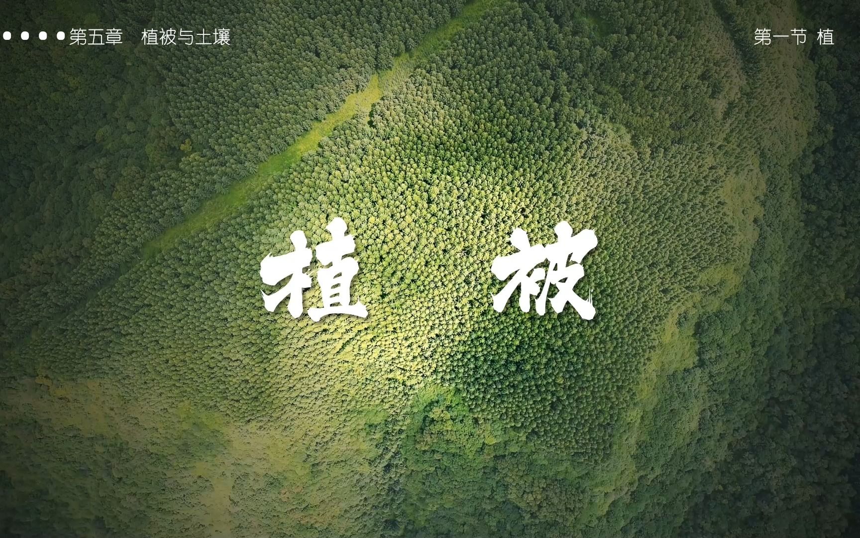 《植被》哔哩哔哩bilibili