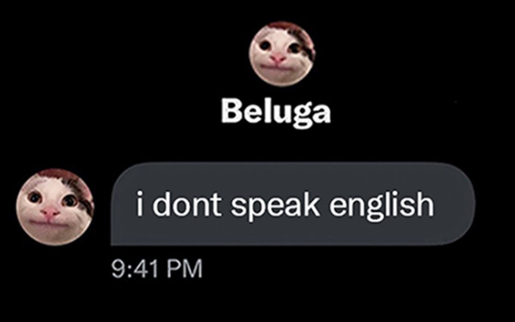 [图]【Beluga】I don't speak English 我不会说英语