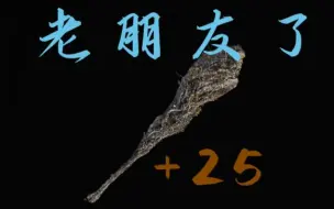 Download Video: 【艾尔登法环】前期就获得满强的巨型棍棒是什么体验呢？