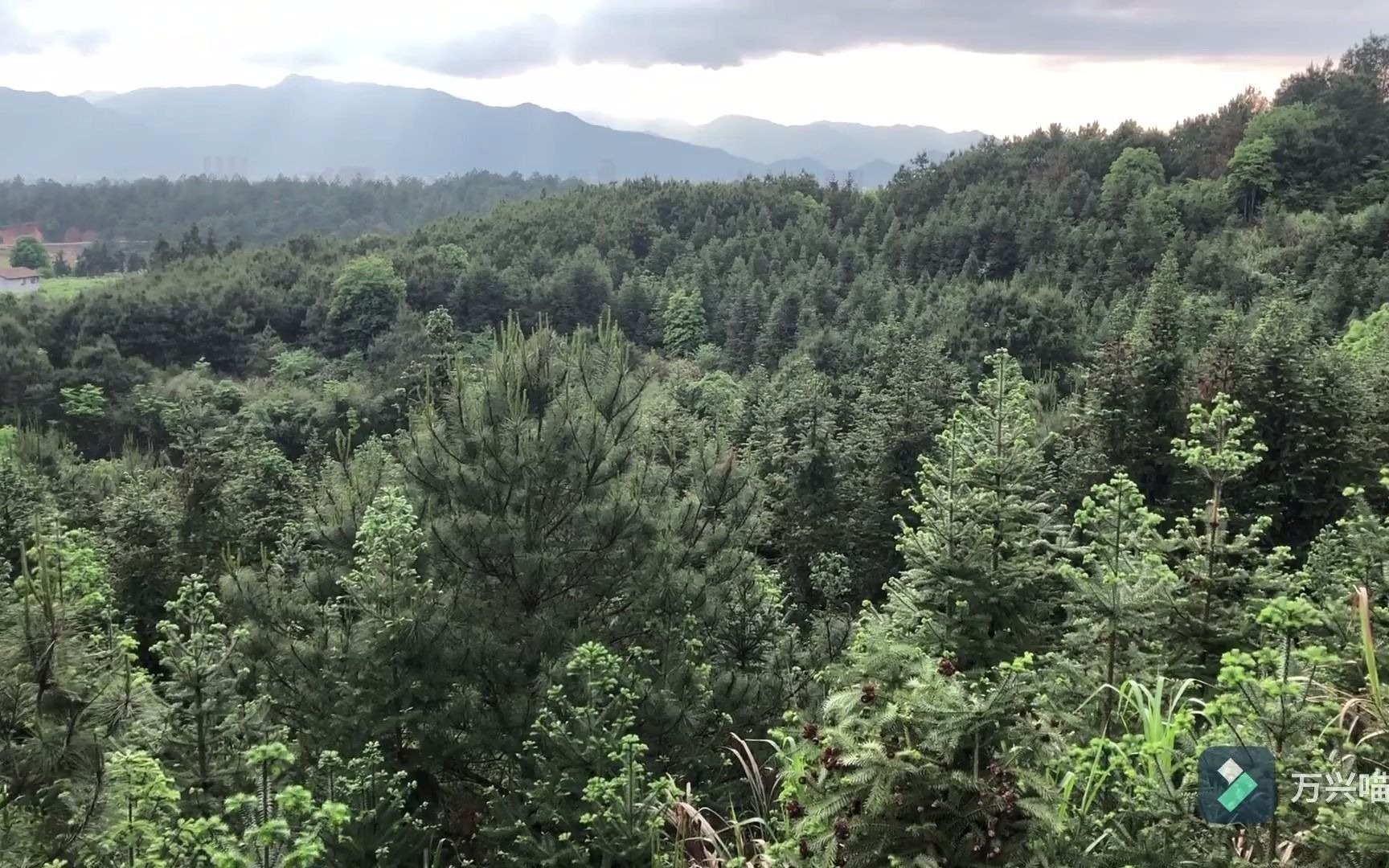 [图]做客江西南城塔岭生态农场