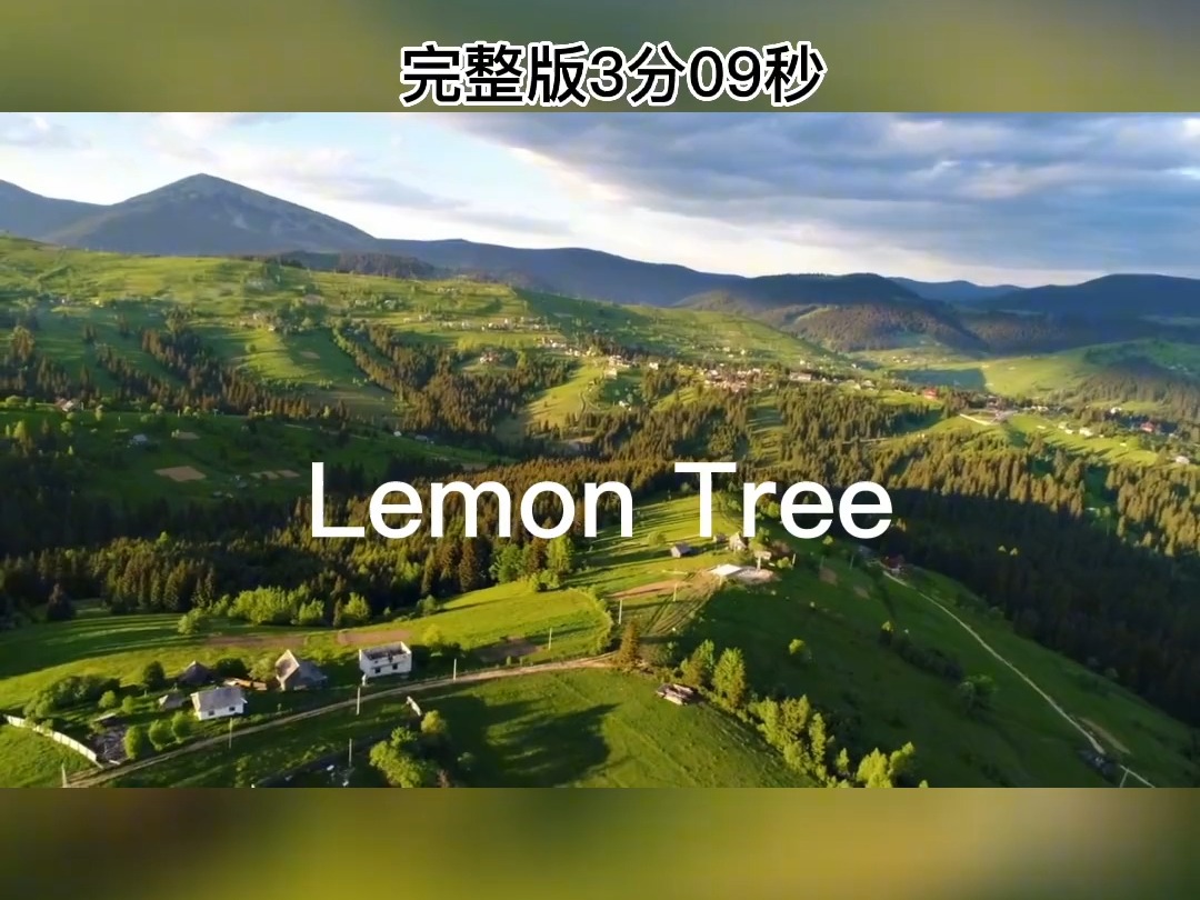 lemon tree哔哩哔哩bilibili