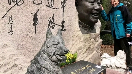 马季墓碑上平生道路九羊肠上一句是啥