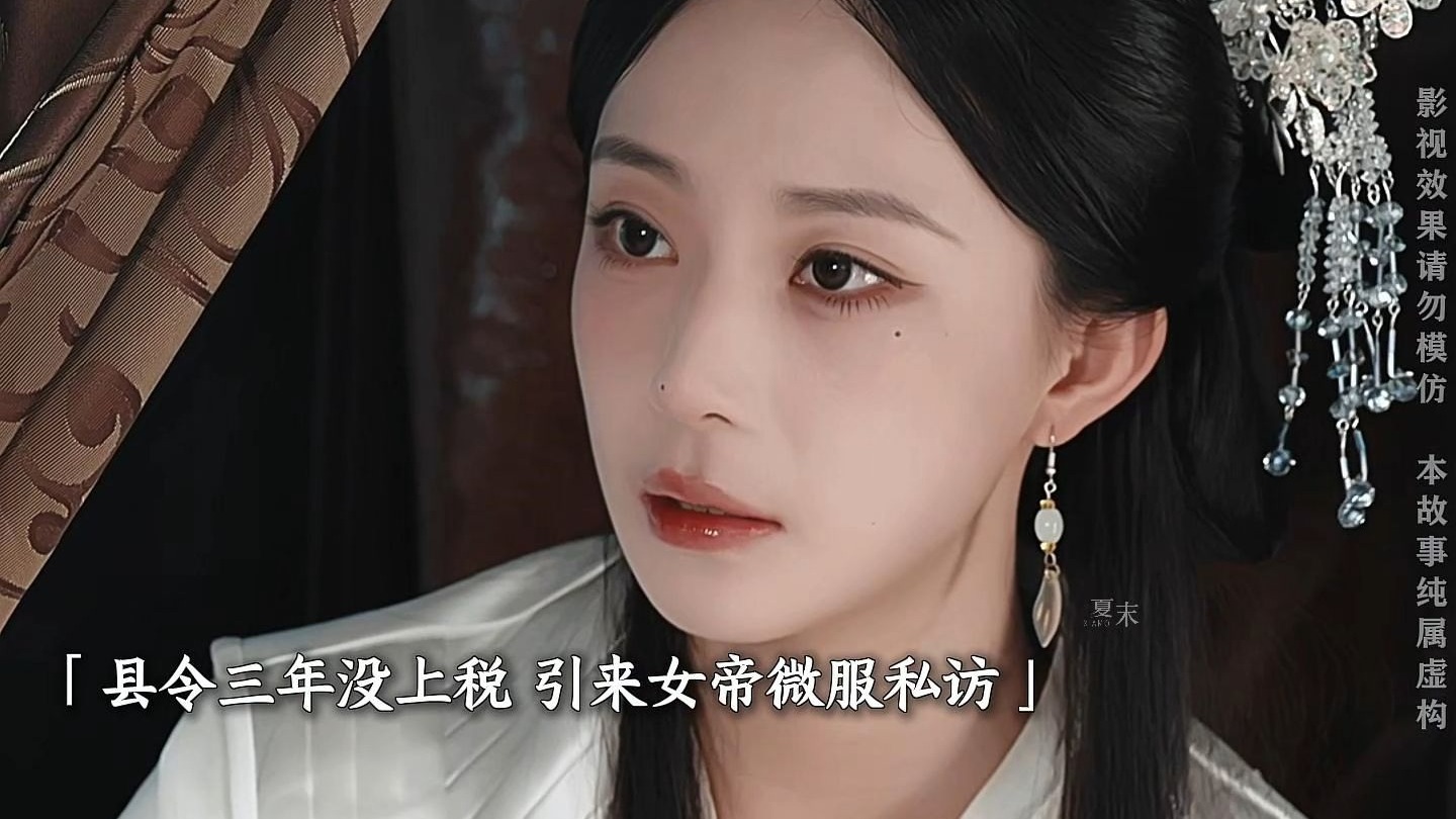 女律师穿越县令女儿