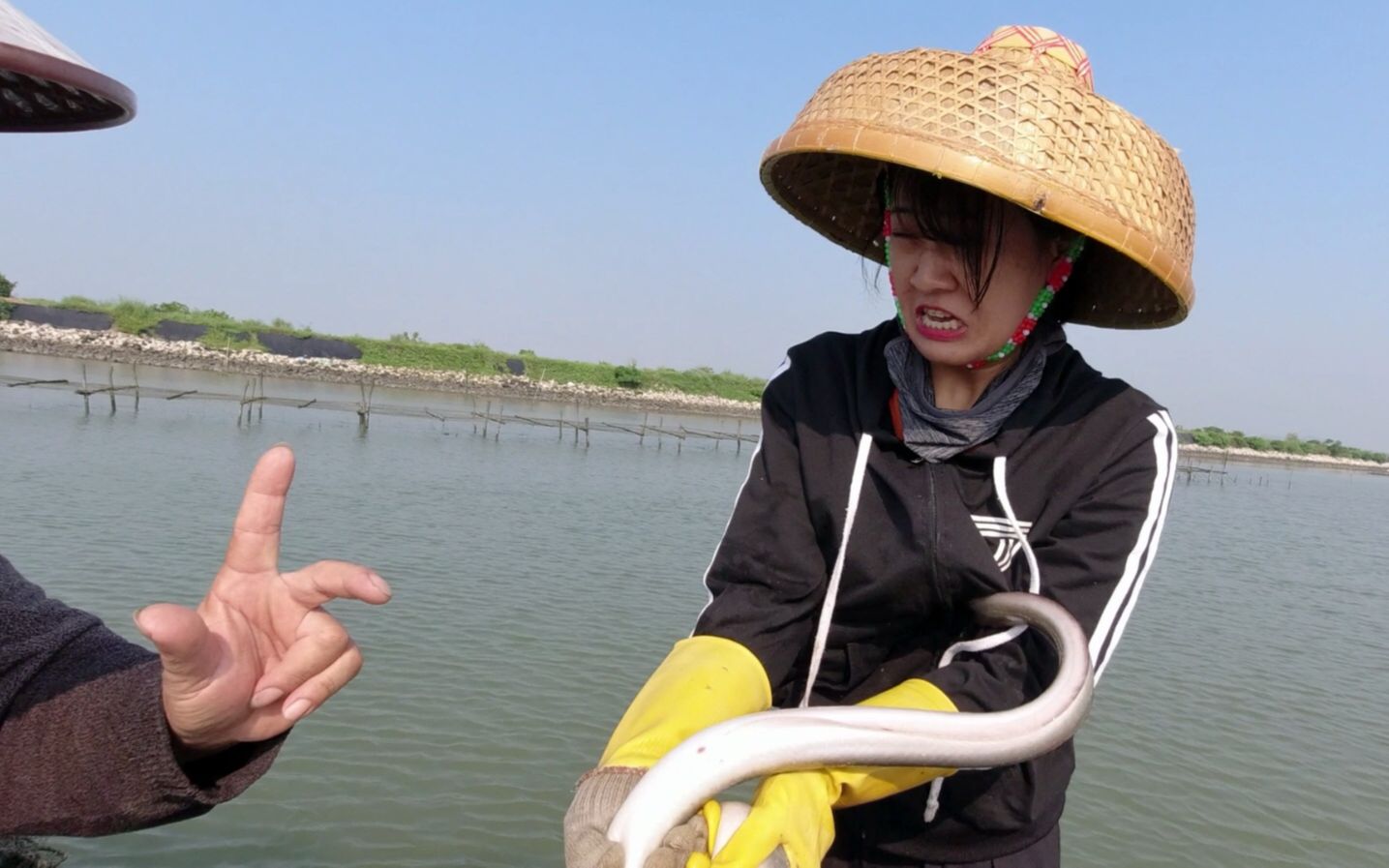 网笼钻进罕见粗货,阿渔妹狂问值多少?渔爸的手势让她无法淡定