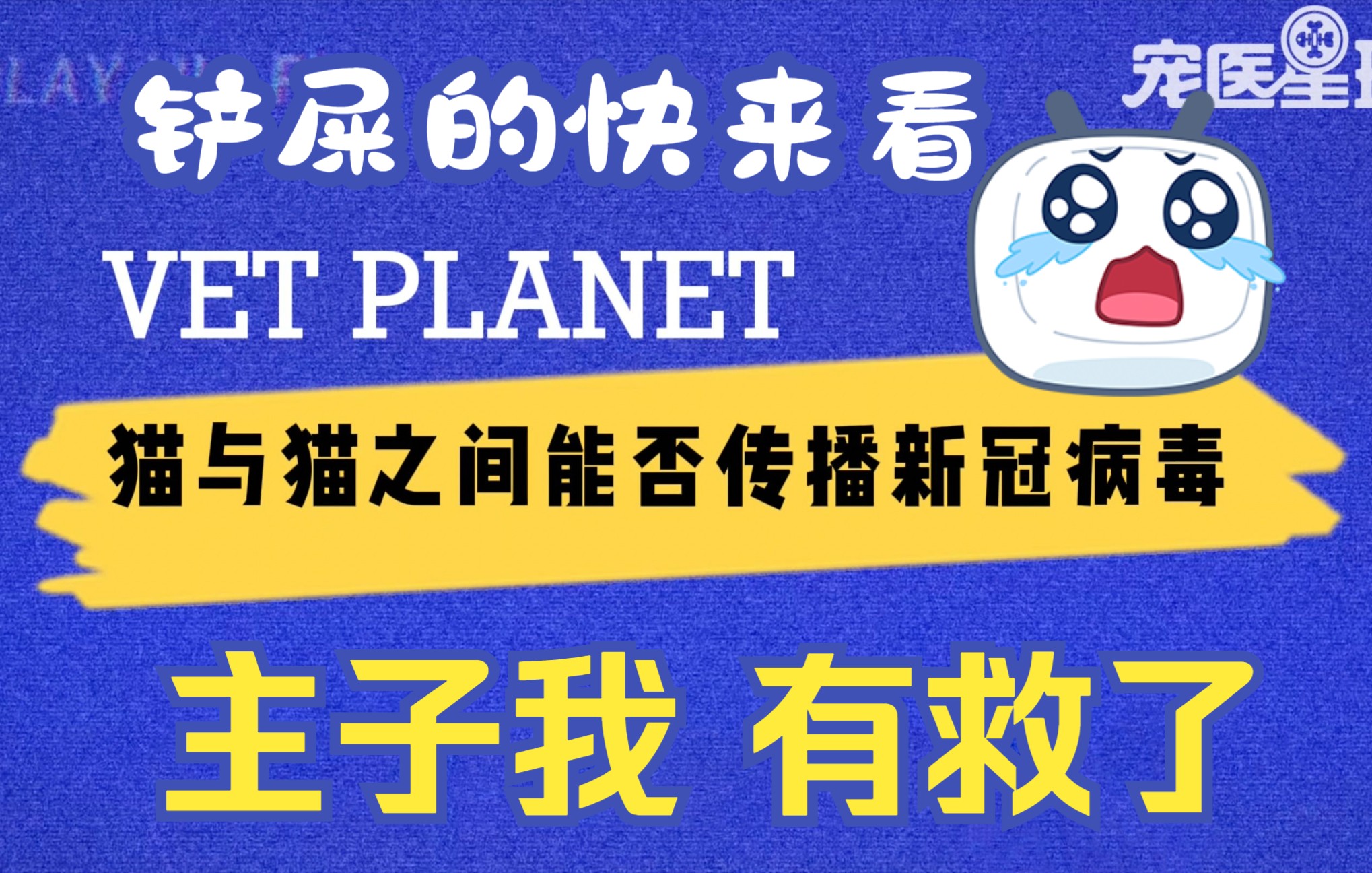 铲屎官速看,家里主子有救啦!最新文献研究表明,猫狗对新冠病毒竟然如此…哔哩哔哩bilibili