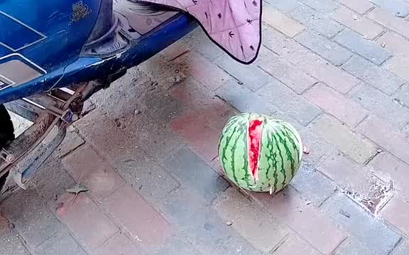 好不容易发工资买个西瓜,刚到楼下摔烂了,我太难了!