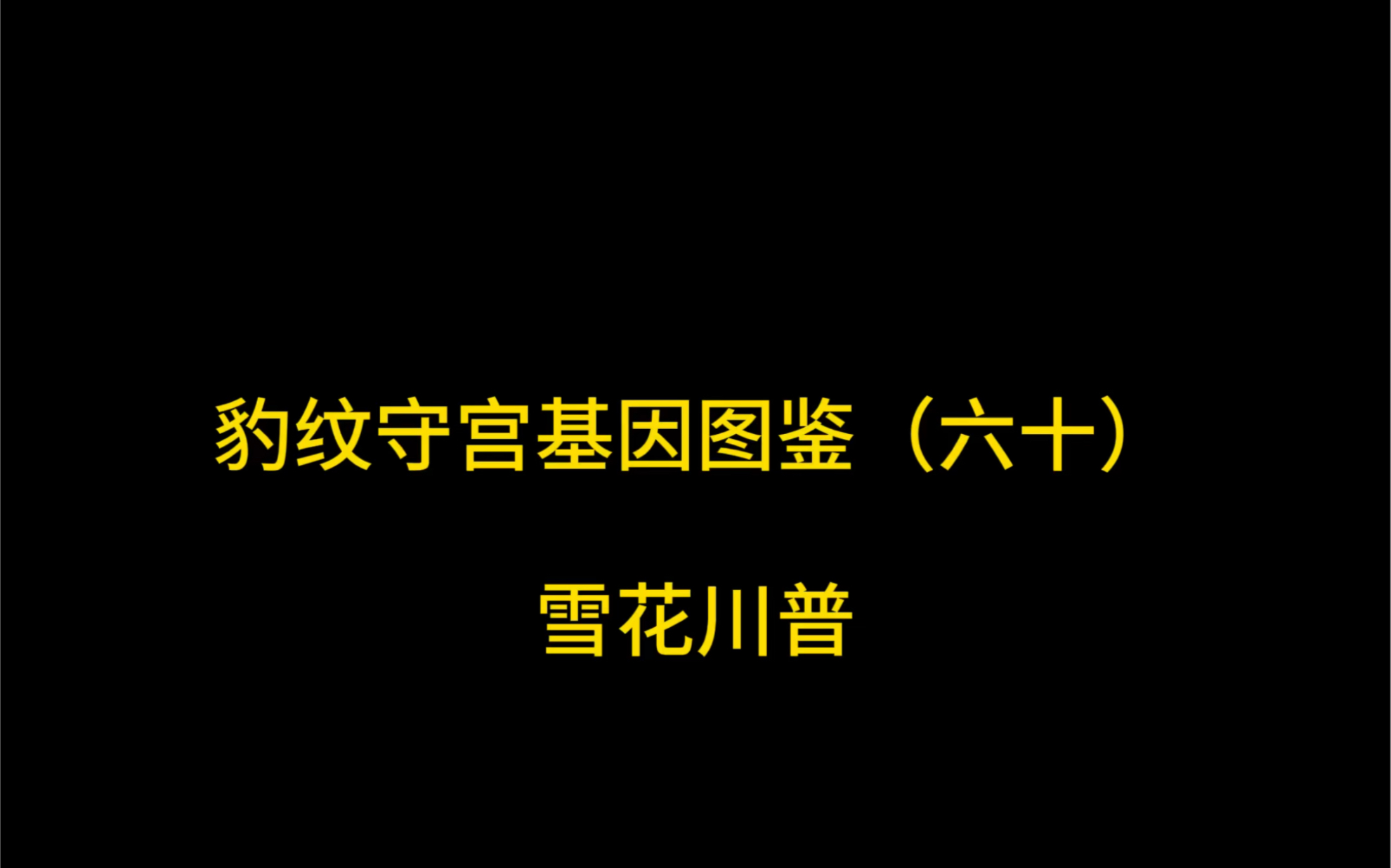豹纹守宫基因图鉴(六十)雪花川普