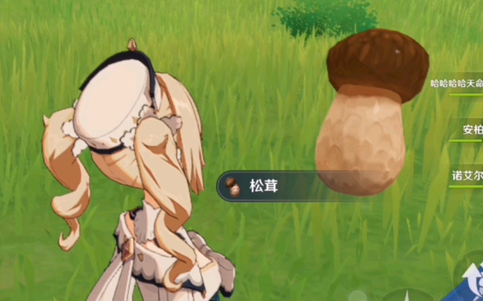 芭芭拉:这松茸怎么比我头还大?