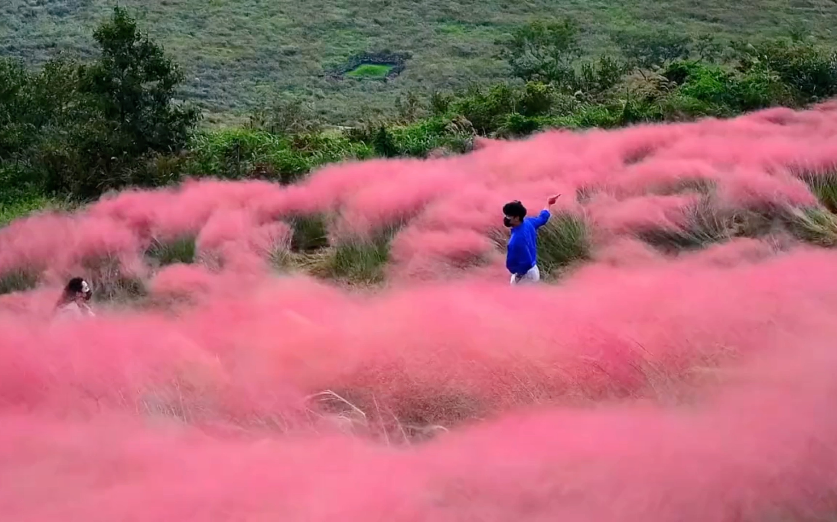 [图]“风是无形的，又是有形的”