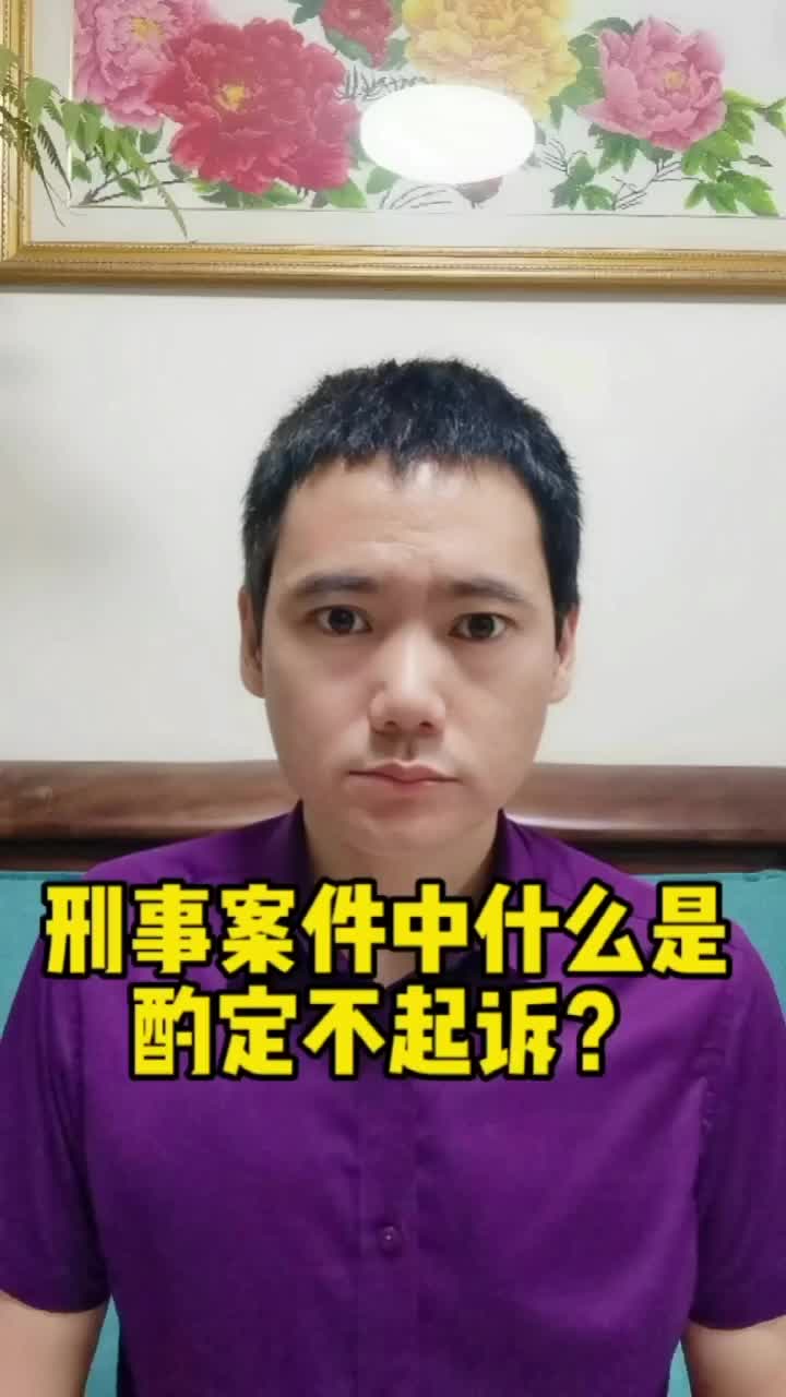 刑事案件中什么是酌定不起诉?哔哩哔哩bilibili