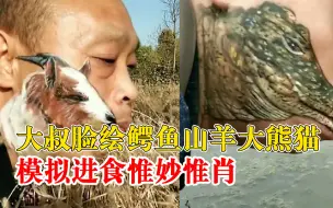 Video herunterladen: 大叔脸绘鳄鱼山羊大熊猫模拟进食：带来一种新奇的绘画体验