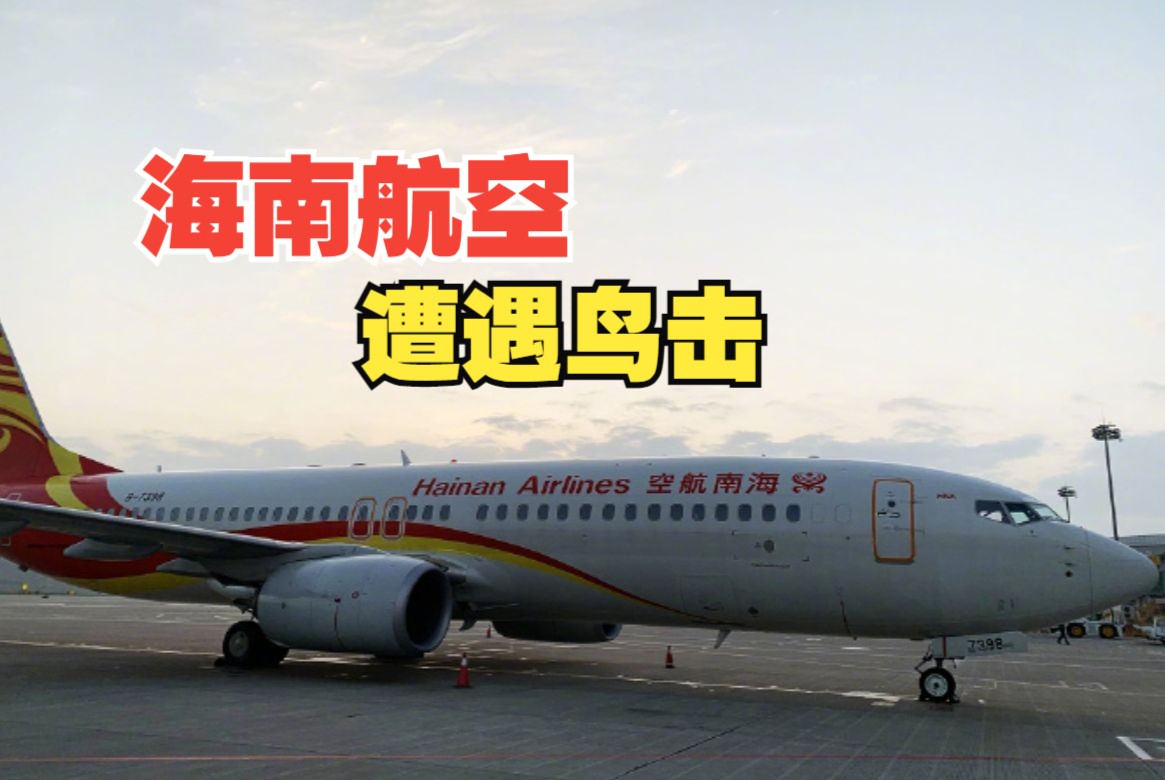 海南航空一航班发动机遭遇鸟击哔哩哔哩bilibili