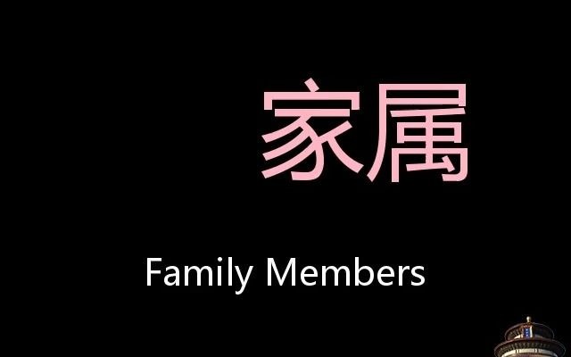 家属 Chinese Pronunciation Family members哔哩哔哩bilibili