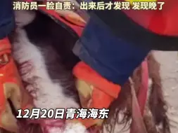 Download Video: 搜救犬腿脚被刮伤仍继续搜寻没叫一声，消防员自责发现晚了