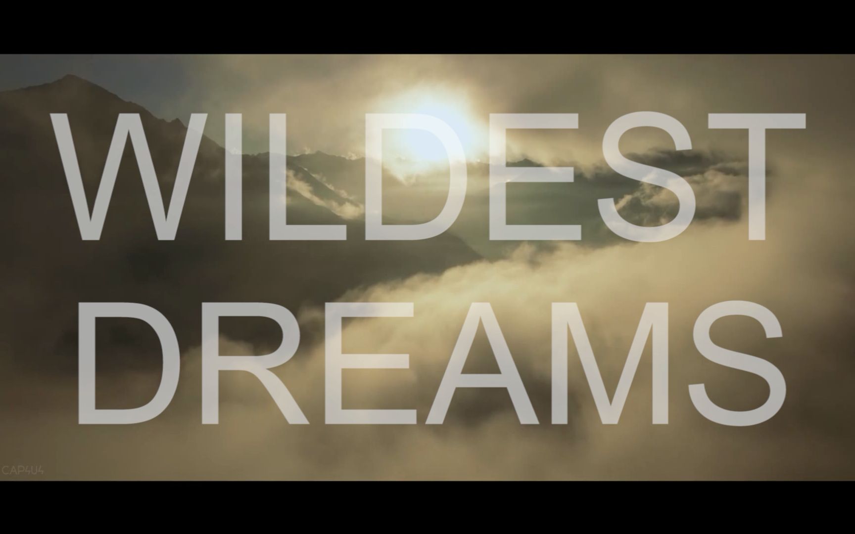 【文草】wildest dreams