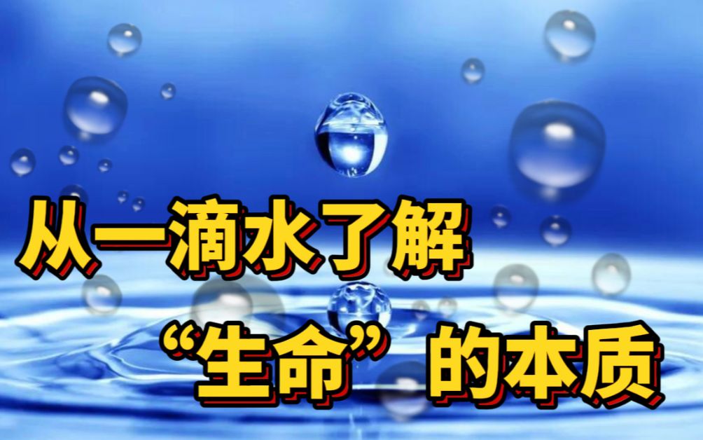 [图]从一滴水了解“生命”的本质！