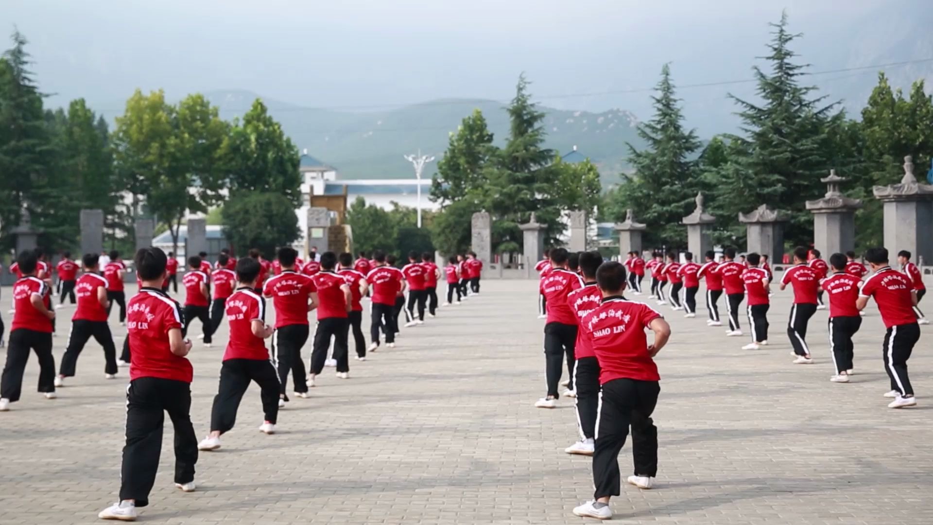 [图]塔沟功夫小子齐练少林七星拳，动作整齐划一，场面超燃！