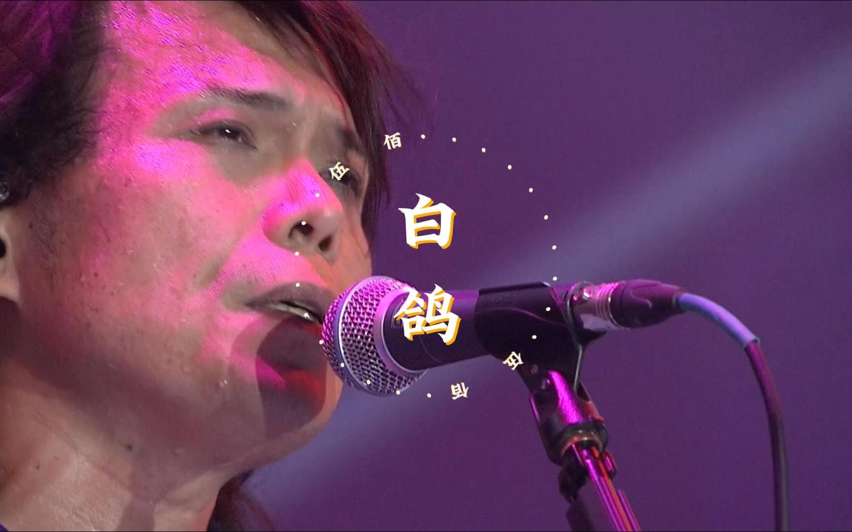 《白鸽》伍佰|现场 61 live版|高清 61 mv