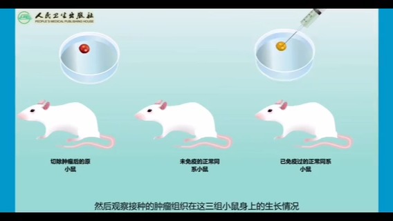 肿瘤特异性移植抗原的发现和确证哔哩哔哩bilibili