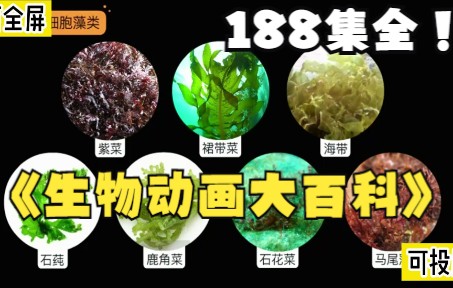 [图]【188集可分享】生物大百科动画 孩子一看就喜欢 藻类植物