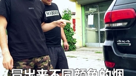 排气管排放大量白烟且有浓烈气味是怎么回事 哔哩哔哩 つロ干杯 Bilibili