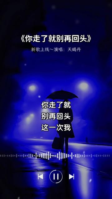 你走了就别再回头,这一次我真的想放手