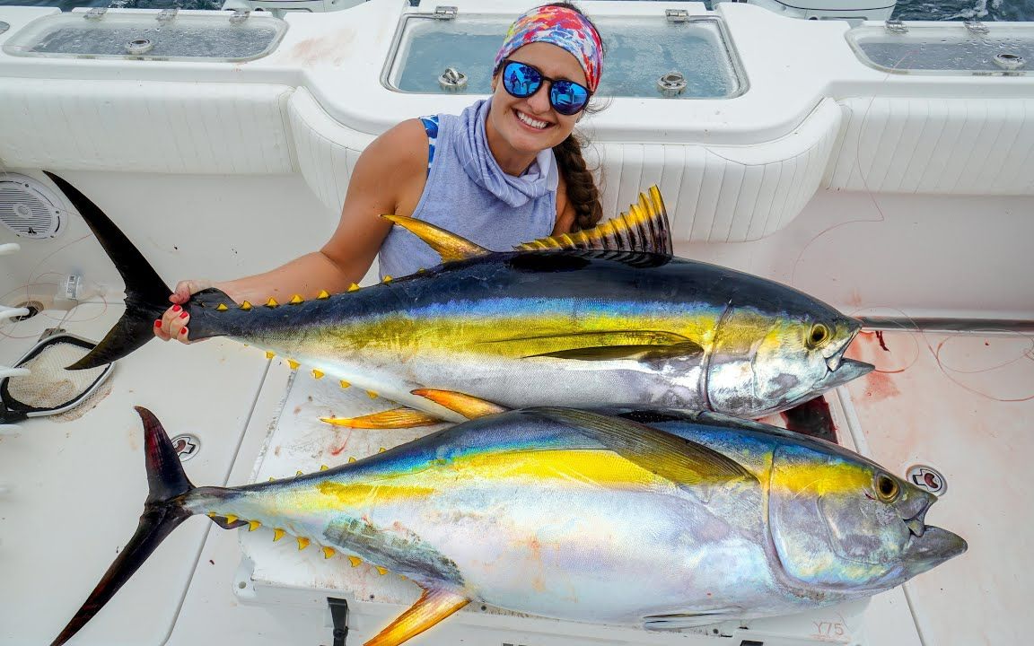 釣到大黃鰭金槍魚