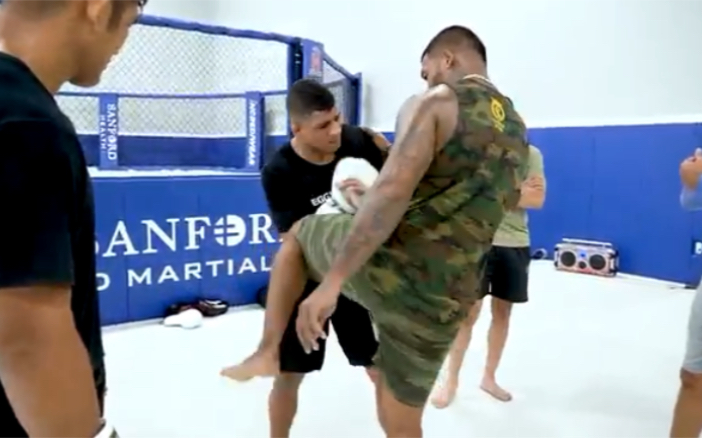 [图]TYRONE SPONG 膝法教学