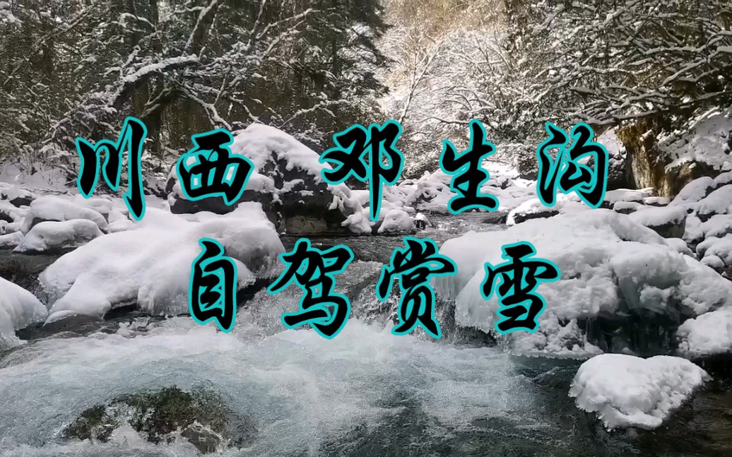 川西邓生沟赏雪哔哩哔哩bilibili